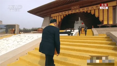 Happy Chick(Ϸģ)v1.8.15 ֻͼ