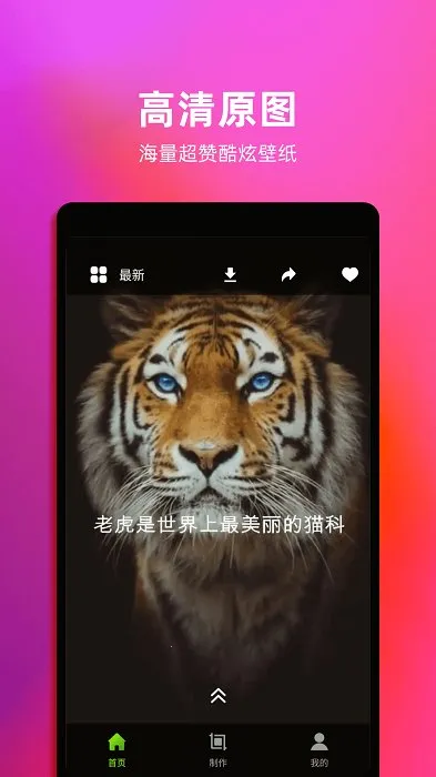 4kֽ̬2025ذװv1.6 ֻͼ