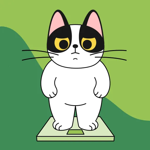 è伫ٰ2025ٷv1.0.1 ֻ