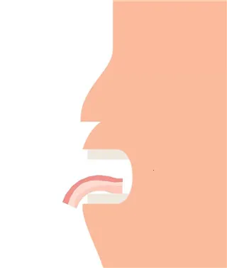 ���2025�ٷ����°汾