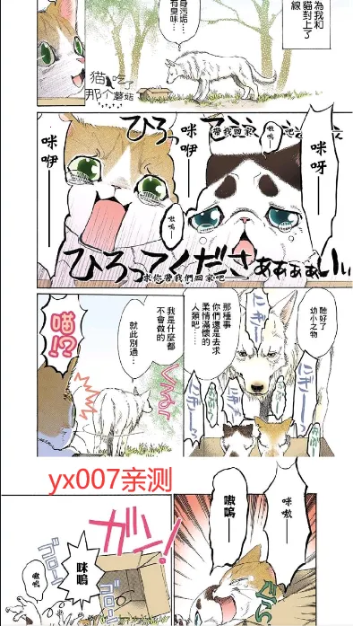 ������2025�ٷ�����v5.17.00 ��Ѱ��ͼ