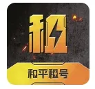 ��ƽ���(��Ϸ���ƽ̨)v1.0.5 �ٷ�����