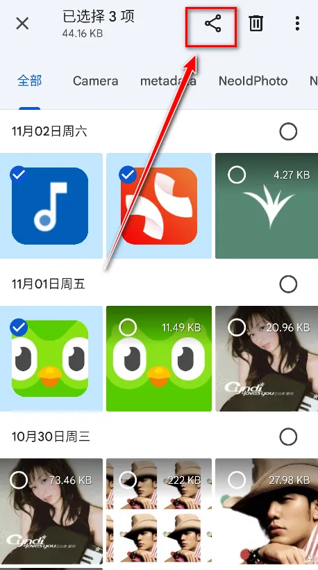 谷歌文件极客2025官方正版 谷歌文件极客2025官方正版