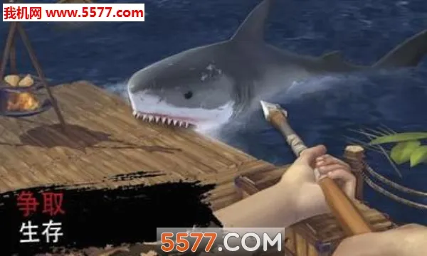 ����������ľ������(ľ��������Ϸ)