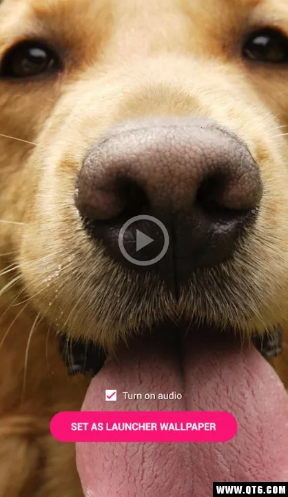 ������Ƶ��ֽ(��ֽ��Դƽ̨)v4.1.4 �ٷ������ͼ