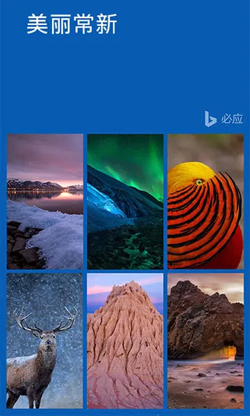 ΢�����氲׿���ֻ���v6.241002.0.11160220 ��׿���ͼ