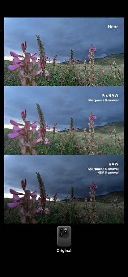 dazz��Ƭ���(��Ƭ��������)v3.1.8 �ٷ������ͼ