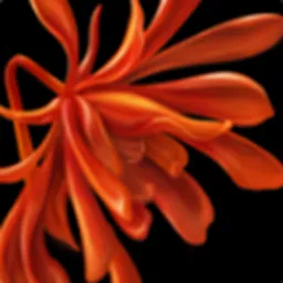 �ܼ�2025�ٷ����°汾v3.1.6 ��Ѱ�