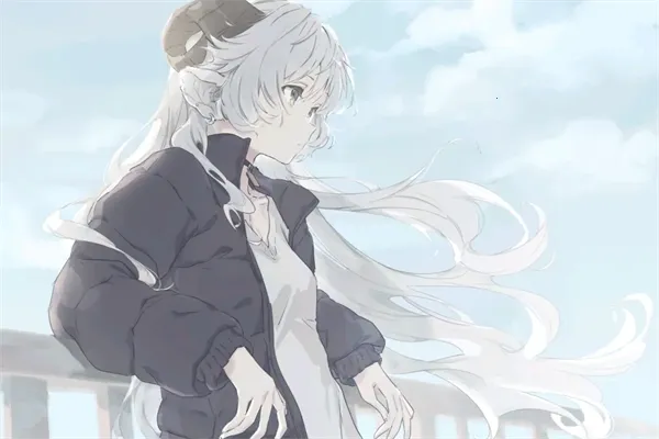 ��֮�������ֻ���