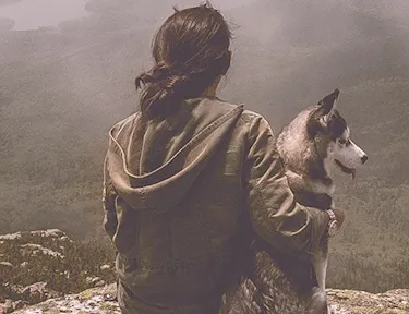 羚羊(企业运营平台) 羚羊(企业运营平台)