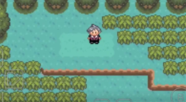 �ڴ����ֹھ����ó̰�׿���ֻ���v2021.03.31.12 ��׿���ͼ