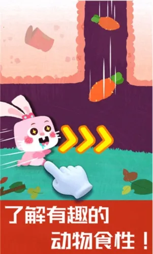 �����������2025���ذ�װ