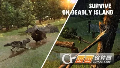 ���浺Ұ������2025�ٷ�����