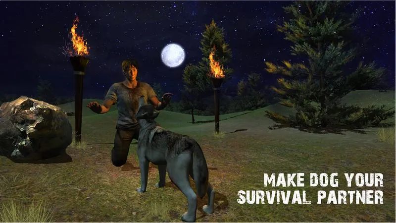 ���浺Ұ������2025�ٷ�����v1.1.0 �ֻ����ͼ