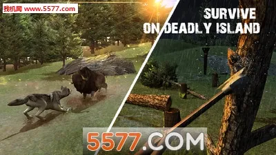 ���浺Ұ������2025�ٷ�����v1.1.0 �ֻ����ͼ