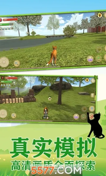 ����һֻ��(è��ģ����Ϸ)v1.0.6 �ֻ����ͼ