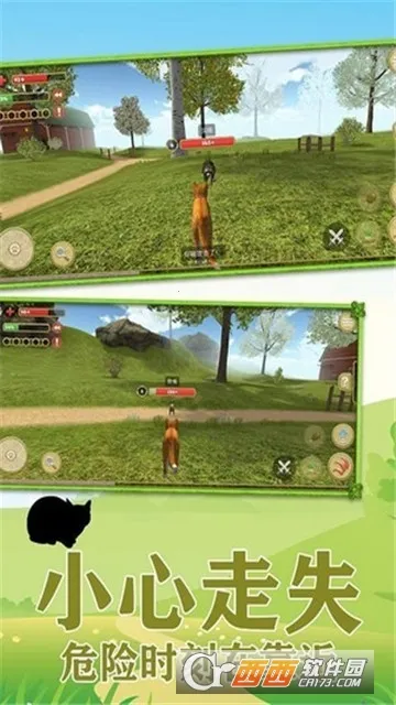 ����һֻ��(è��ģ����Ϸ)