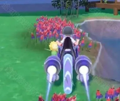 �ڴ��������������ֻ���