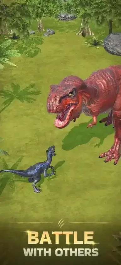 ��������2026�ٷ�����