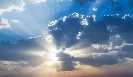 放心天气 放心天气