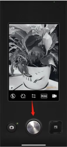 ProCCD���2026���ذ�װ