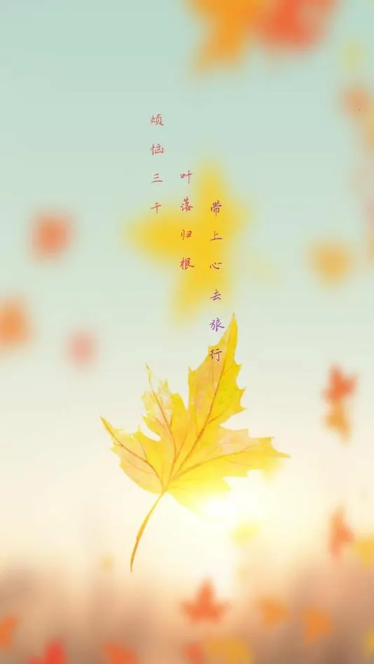 枫叶漂流瓶2026最新版本 枫叶漂流瓶2026最新版本