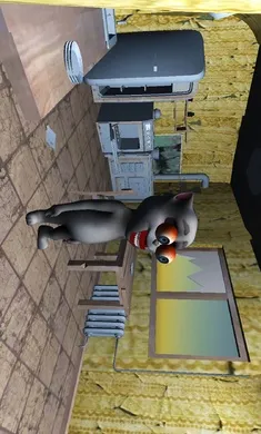 �ֲ��ĺ���v1.0 ��׿���ͼ