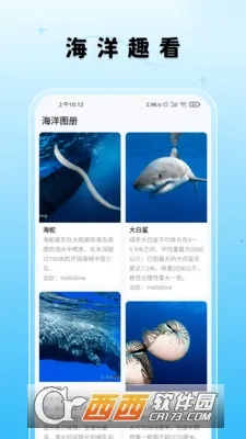 ����Ȥ��2026���ذ�װv1.4.64 �ٷ������ͼ