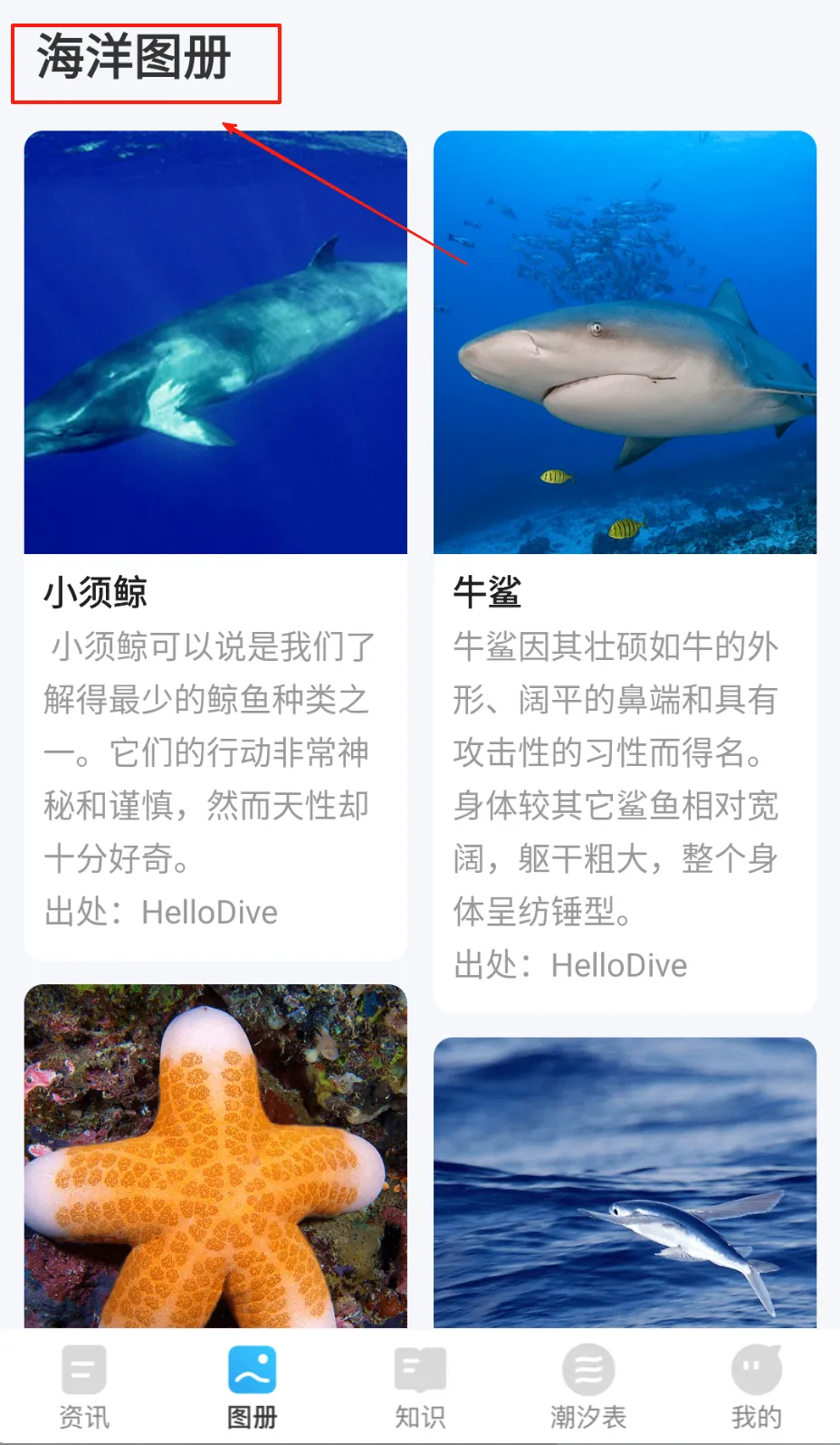 海洋趣看2026下载安装 海洋趣看2026下载安装