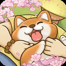 �����������2026�ٷ����°汾v1.0.1 �ֻ���