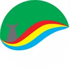 ����ͨ2026���°汾v1.3.1 �ֻ���