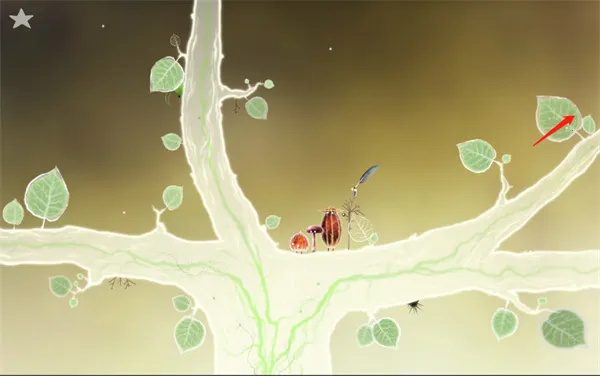 botanicula��׿�ڹ���