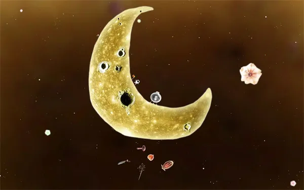 botanicula����