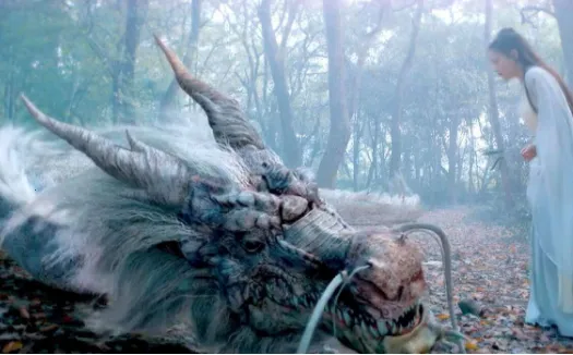 ������Ƶ���׷������