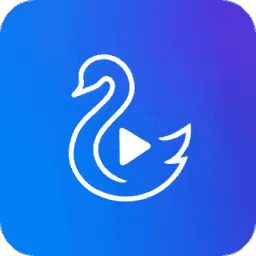 ������Ƶ��װv4.0.1 �ٷ�����