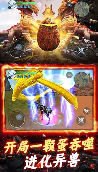 ����һ�ŵ�