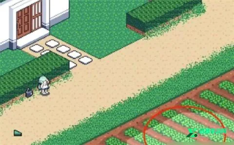 Ѱ�����յı���2026���°汾