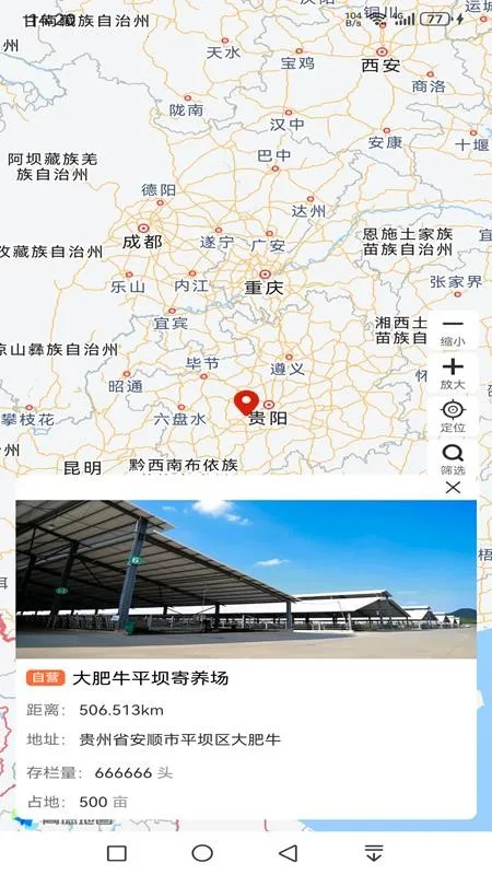 ���ţ2026�ٷ�����