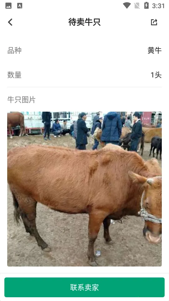 ���ţ2026�ٷ�����