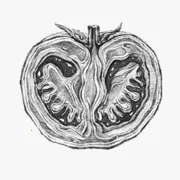 θ֮��v2.0.1 ��׿��