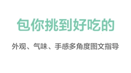 ���߰ٿ�2026�ٷ�����