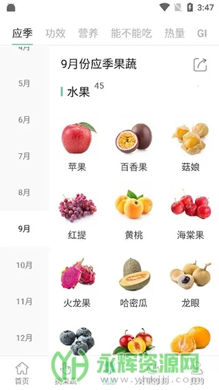 ���߰ٿ�2026�ٷ�����