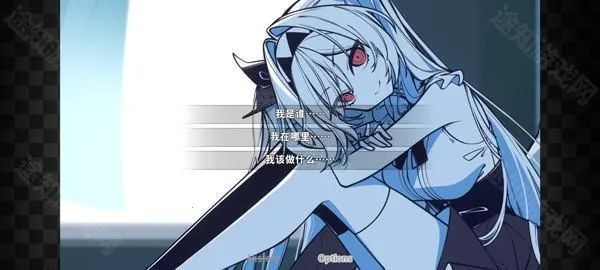 �����ڵ������2026�ٷ�����