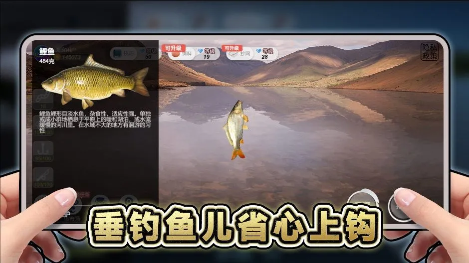 ���ε�����2026�ٷ����°汾v1.0 ��׿���ͼ