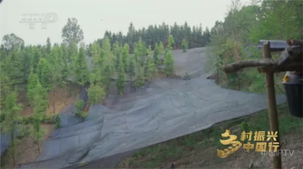 ����Ӱ��TV����