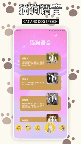 ����èv1.9 ��Ѱ��ͼ