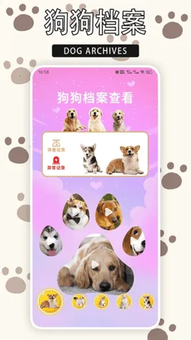 ����èv1.9 ��Ѱ��ͼ