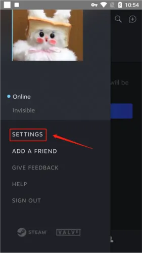 steam����2026���ذ�װ