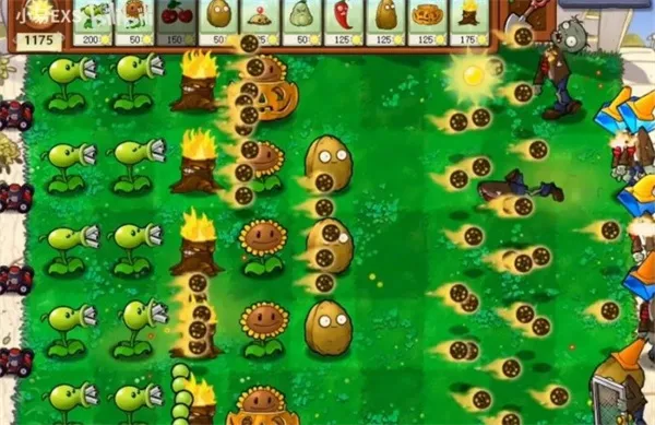 ֲ���ս��ʬCL2026�ٷ�����v1.0 ��Ѱ��ͼ