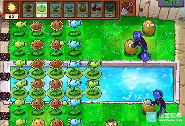 ֲ���ս��ʬCL2026�ٷ�����